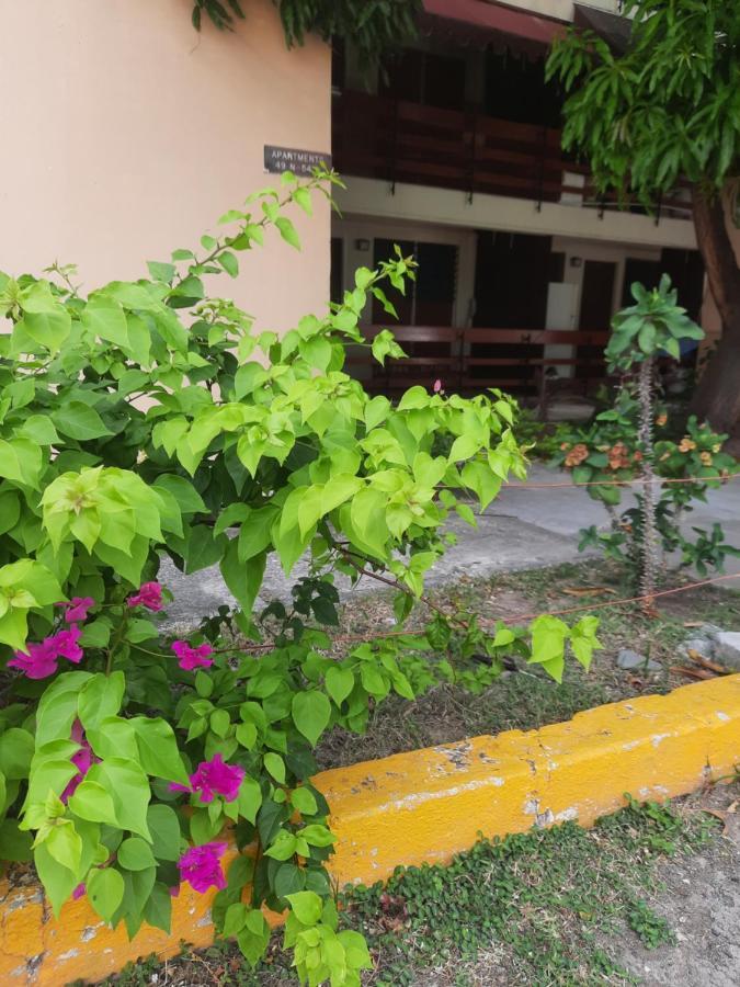 The Mango Lodge Кингстон Экстерьер фото